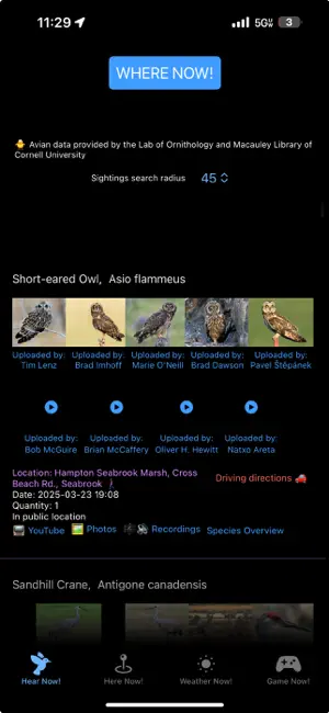 Where Now! screenshot 1