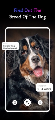 Dog Scan : Breed Identifier Screenshot 9 of 10