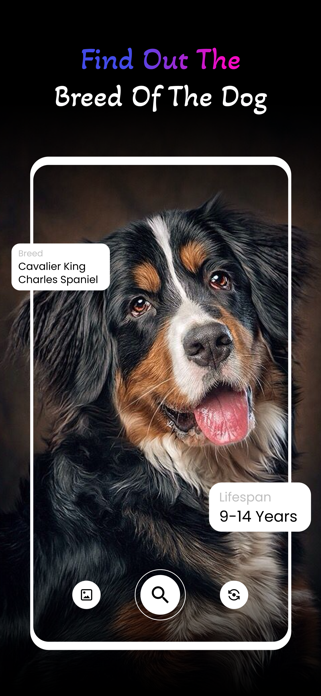 Dog Scan : Breed Identifier Screenshot 9 of 10