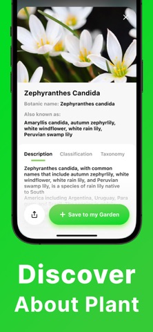 Plant Identifier - FloraID iPhone screenshot