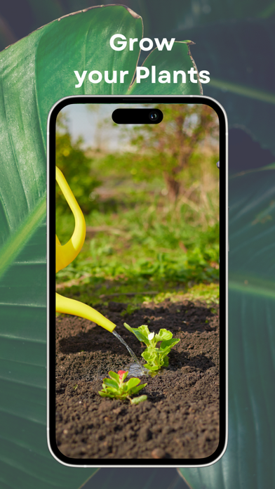 Flower Identifier - Petals Screenshot