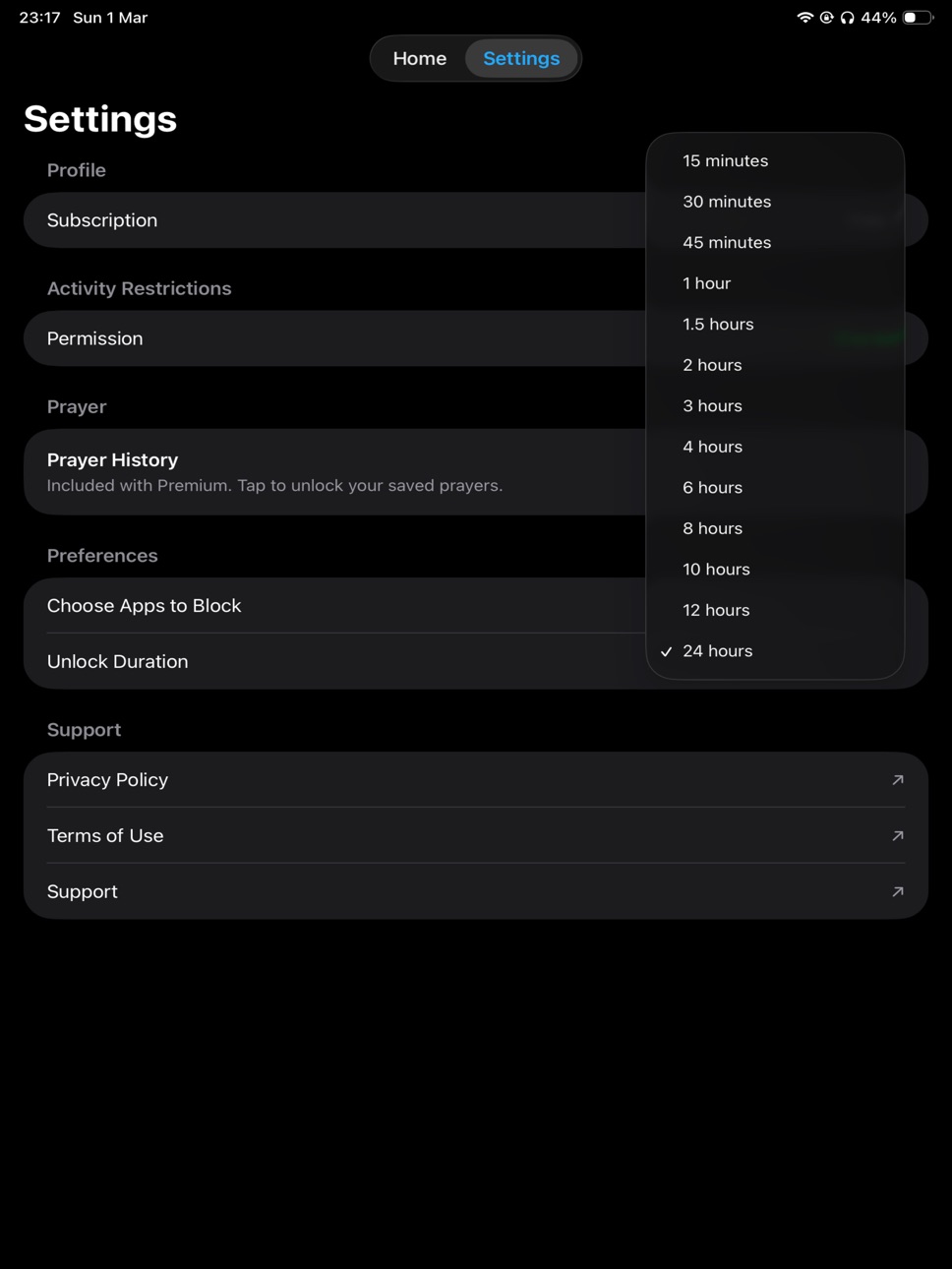 iPad screenshot