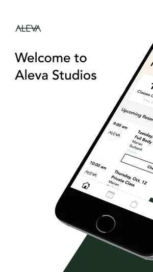 Aleva screenshot 1