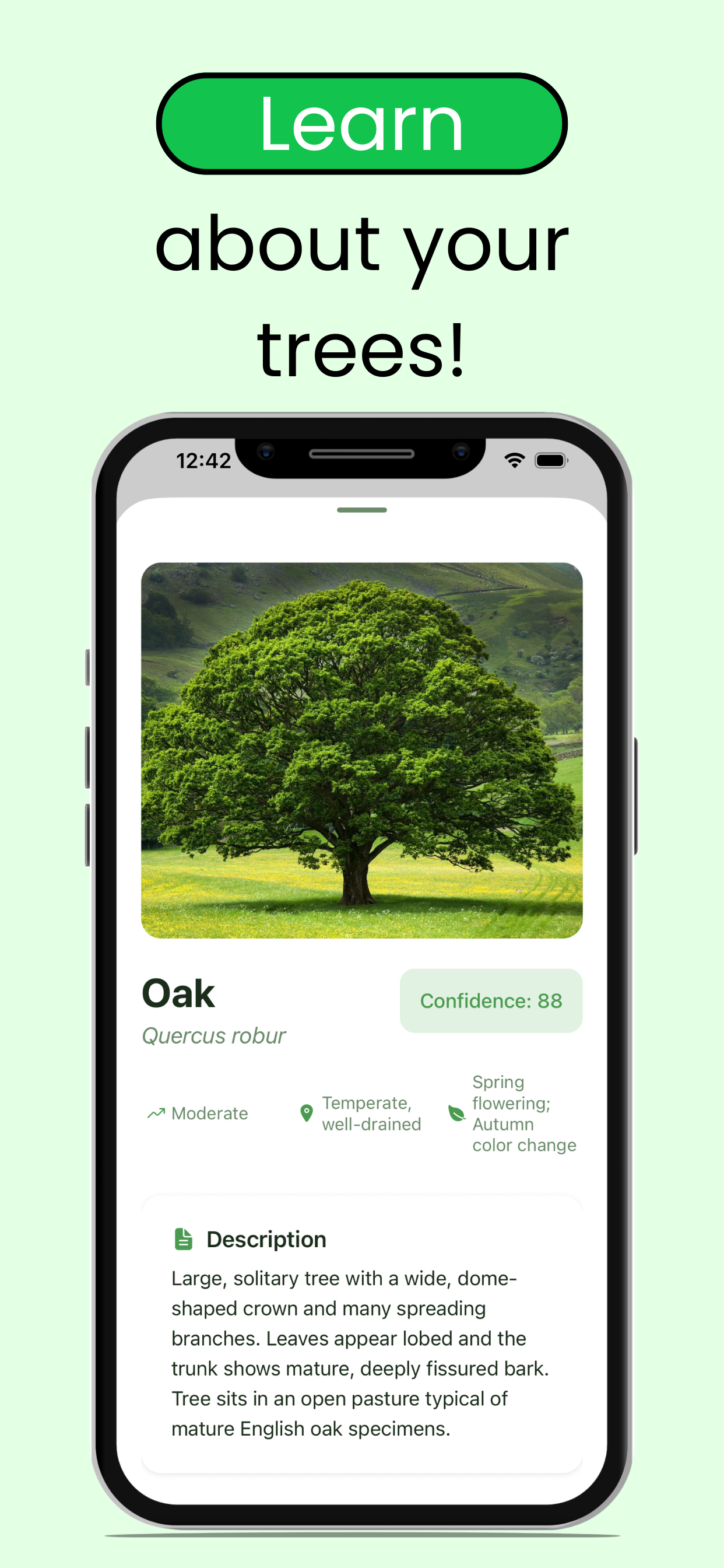 Tree Leaf Identifier: ID Trees screenshot 3