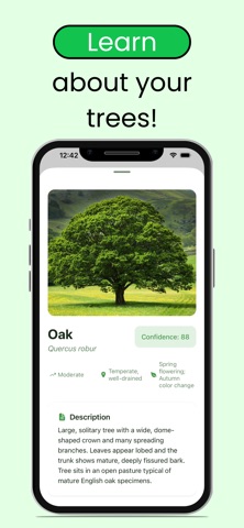 Tree Leaf Identifier: ID Trees Screenshot 3 of 4