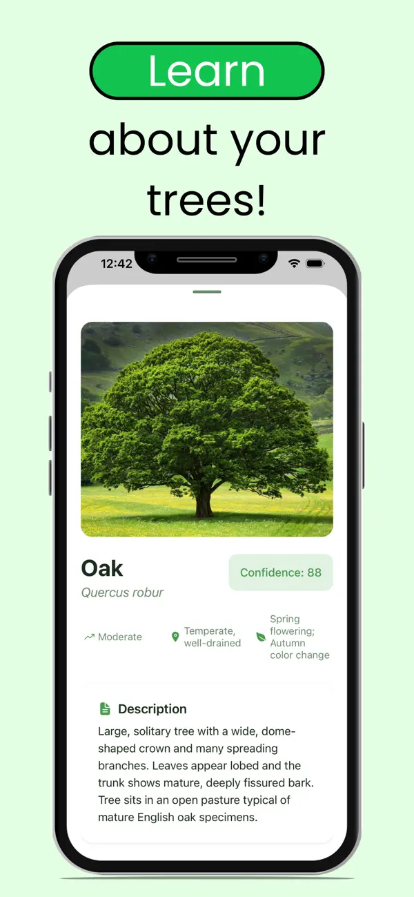 Screenshot #3 pour Tree Leaf Identifier: ID Trees