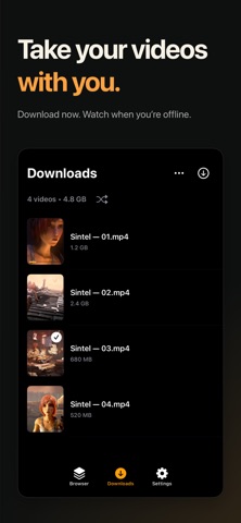 Saisei Player Screenshot 3 of 5