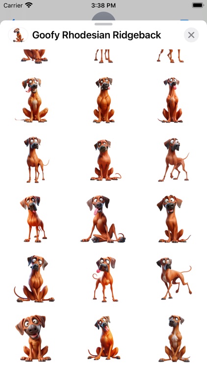 Goofy Rhodesian Ridgeback