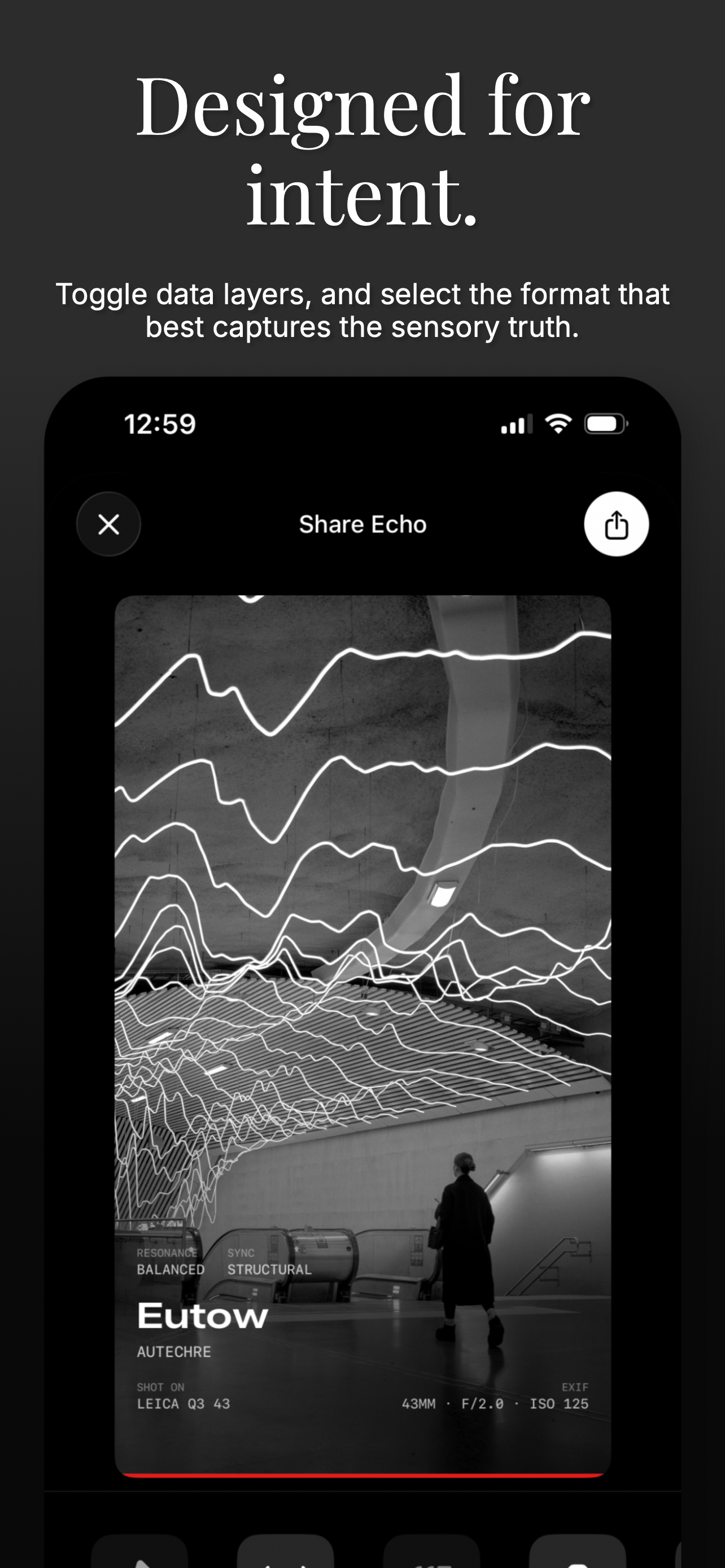 Echo Frame: Tonal Resonance screenshot 7