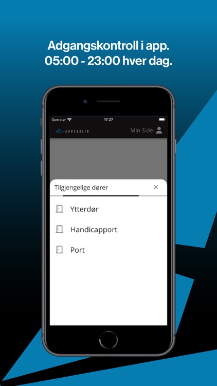 Adrenalin screenshot-3