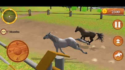 Wild Horse Equestrian Family Screenshot