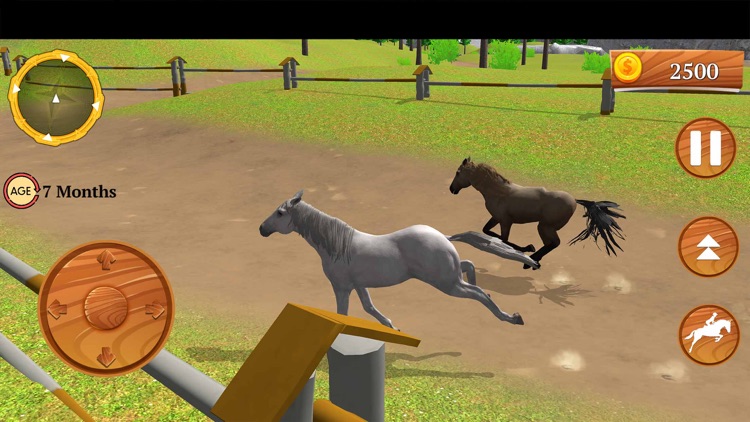 Wild Horse Equestrian Family screenshot-3