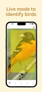 BirdsID - Identify Birds screenshot #2 for iPhone