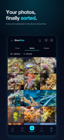BlueAtlas Screenshot 4 of 10