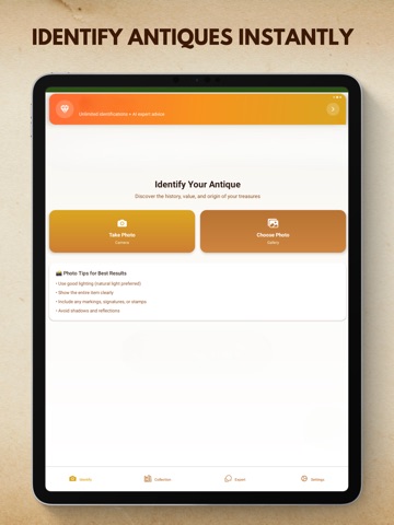 Antique Identifier - collector iPad screenshot