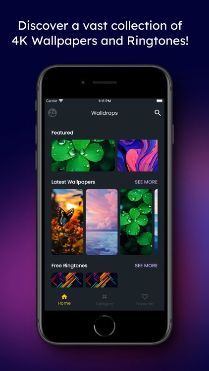 Walldrops - HD Wallpapers