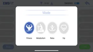 EMSFIT screenshot 2