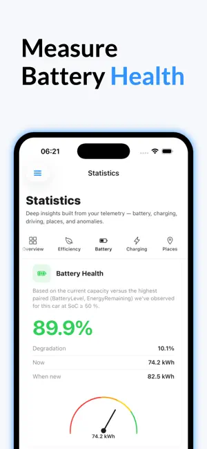 Teslita screenshot 2