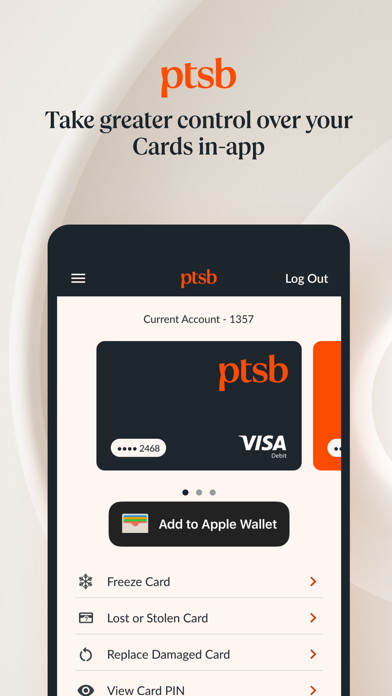 permanent tsb Screenshot