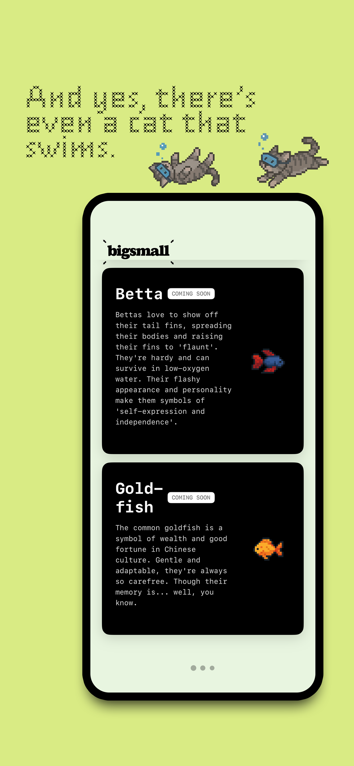bigsmall - Widgets and Focus screenshot 7
