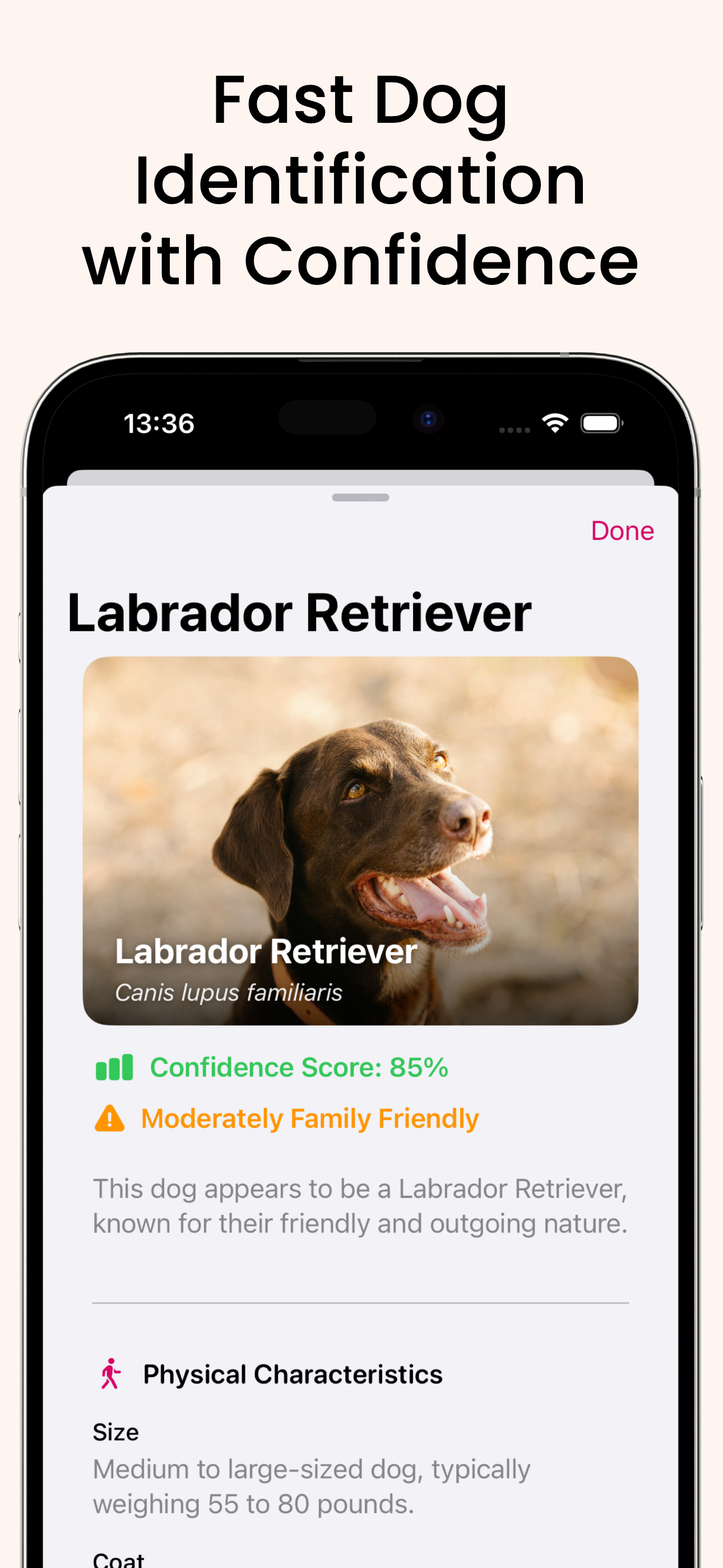 Dog Identifier: Dogtastic screenshot 3