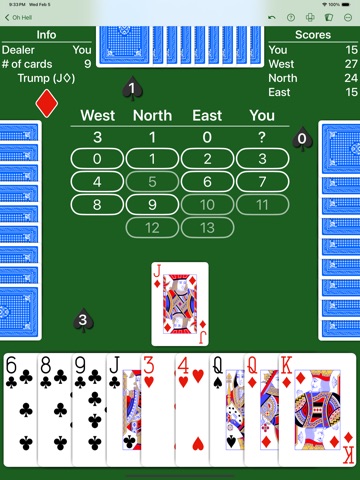Oh Hell - Expert AI iPad screenshot