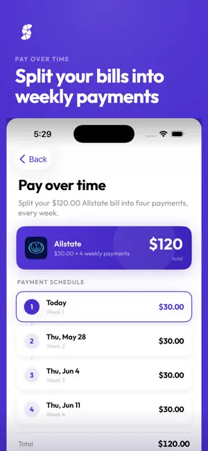 Pay with Sublime screenshot 1