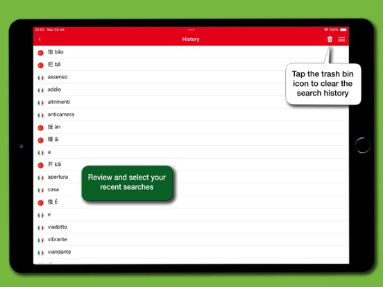 Dizionario Cinese Hoepli iPad screenshot