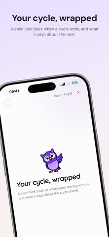 Envelope Budget App: Wallyo Screenshot 6 of 6