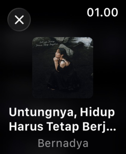 Apple Watch screenshot