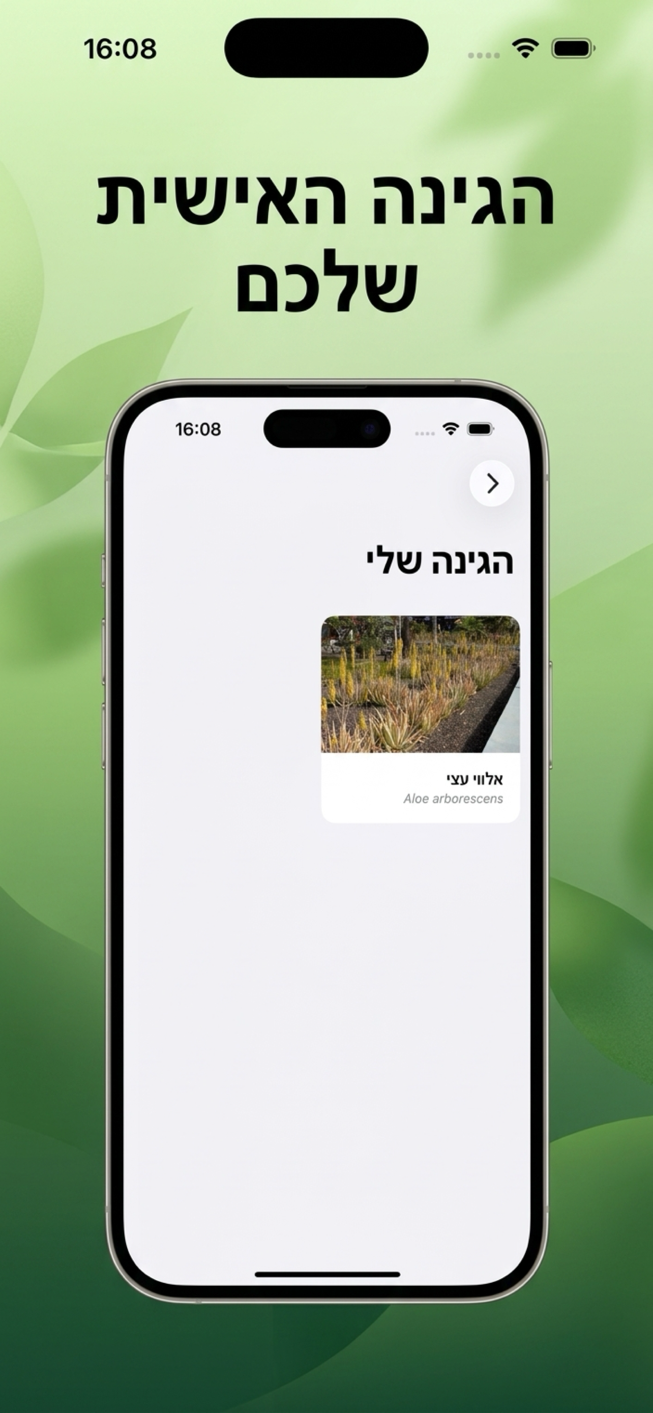 מגדיר צמחים פלוס