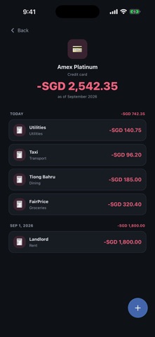 Xavier — Expense Tracker Screenshot 4 of 4