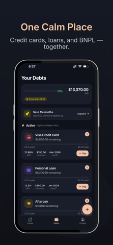 RAYN: Calm Debt Tracker screenshot