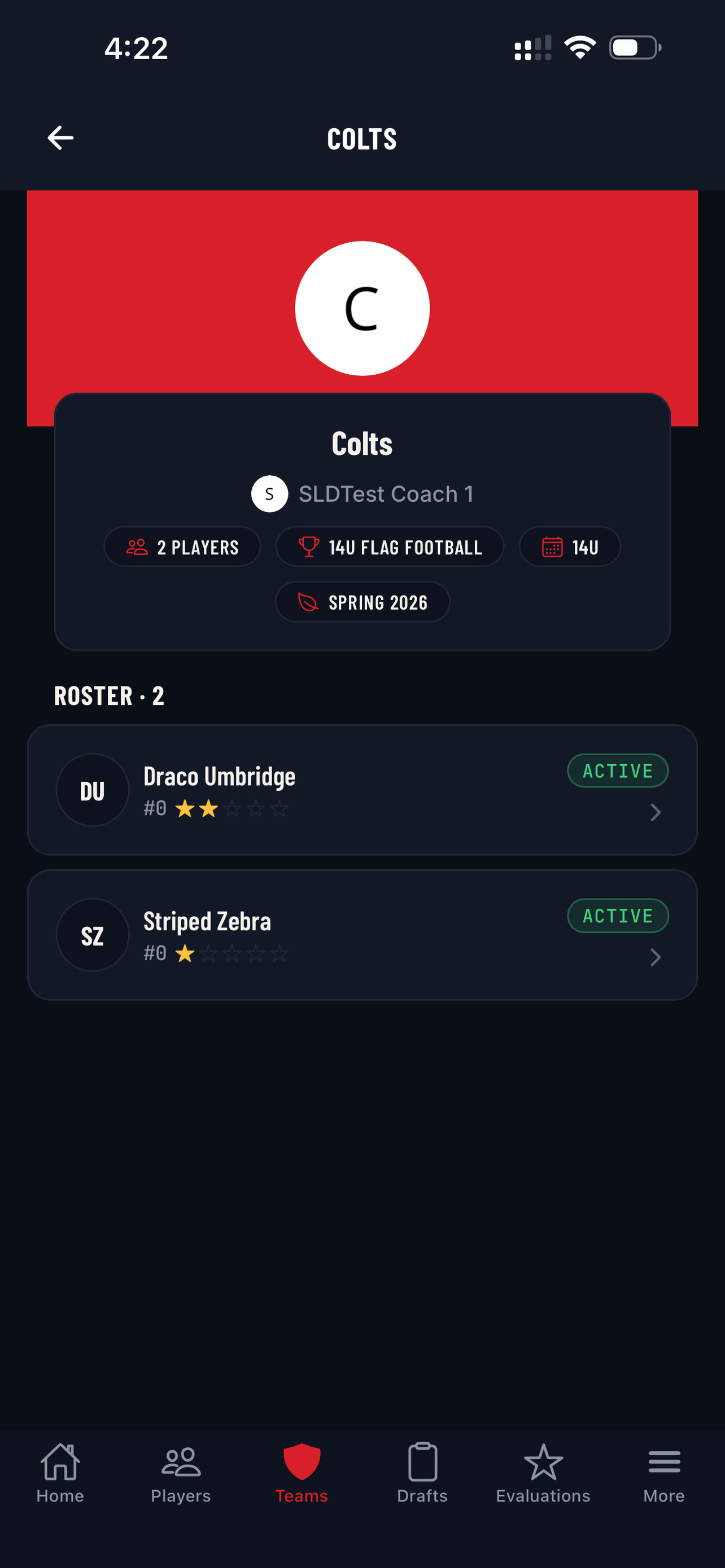Sports League Draft screenshot 6