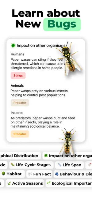 Identify Insect - Bug Finder screenshot 3