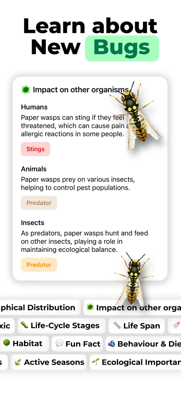 Screenshot #3 pour Insect ID - Bug Finder