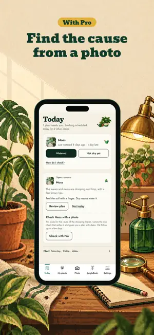 Botanicaly: Plant Identifier screenshot 4