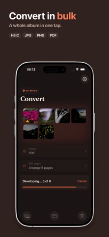 HeicSwap: HEIC & PDF Converter screenshot