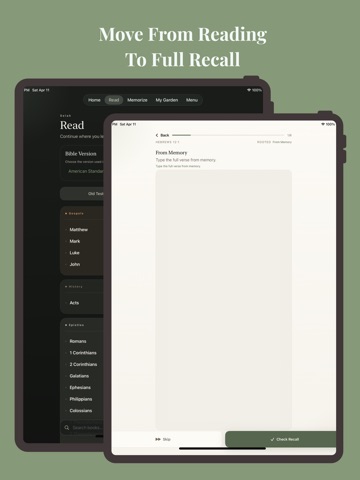 Rooted: Bible Memory Screenshot 4