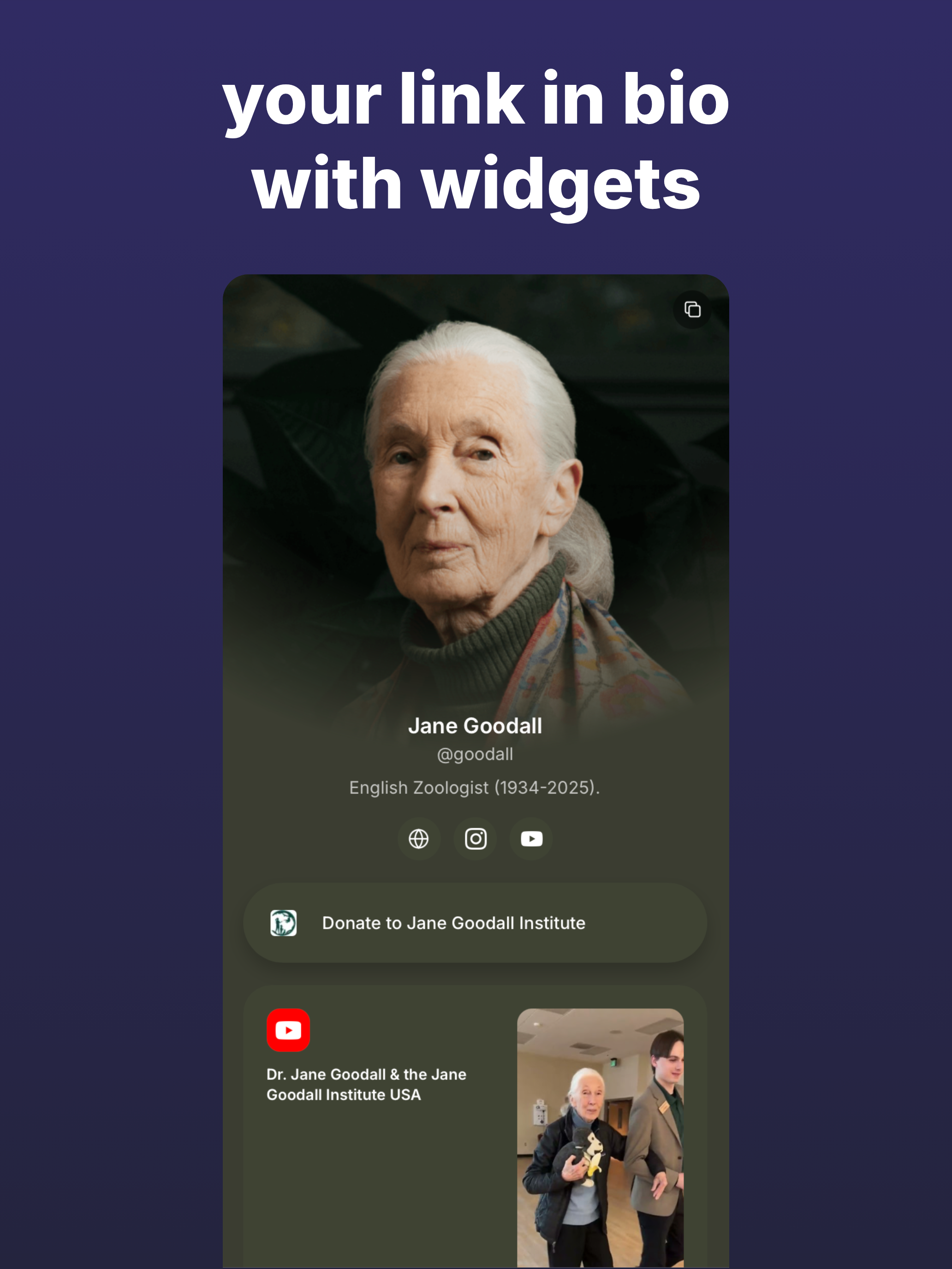 Linkname Link in Bio & Widgets