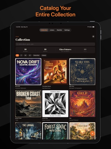 Vinyl Record Log iPad screenshot