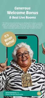 Zebra Bingo - Online Casino screenshot 2