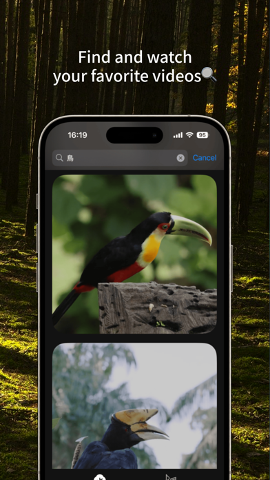 NatureBreeze – Nature Videos screenshot
