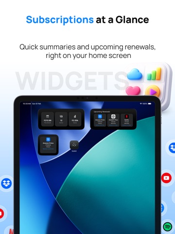 Subscription Manager: SubKit iPad screenshot