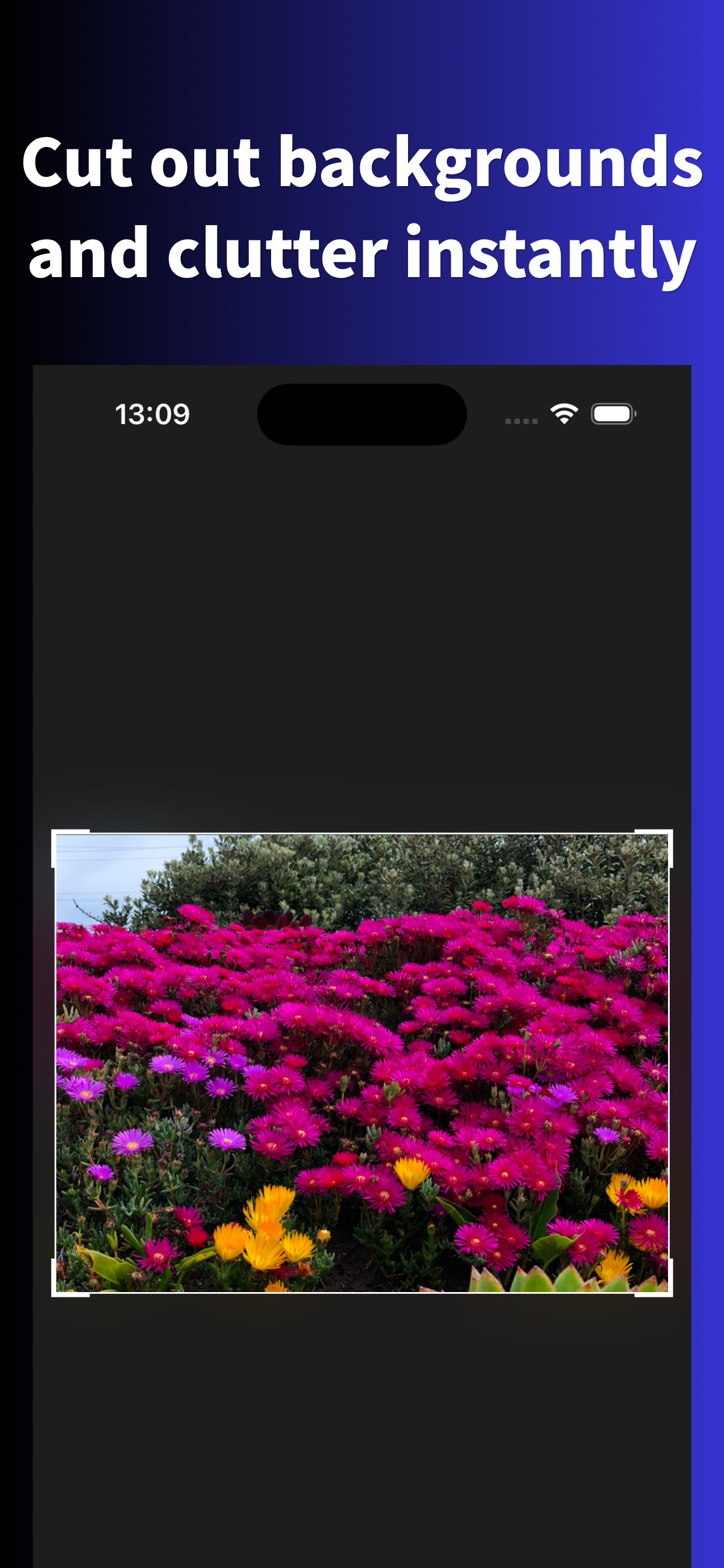 GaZou - Mosaic & Crop Editor screenshot 4
