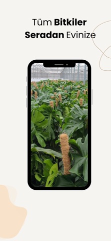 Cool Concept Flower Screenshot 3 of 4