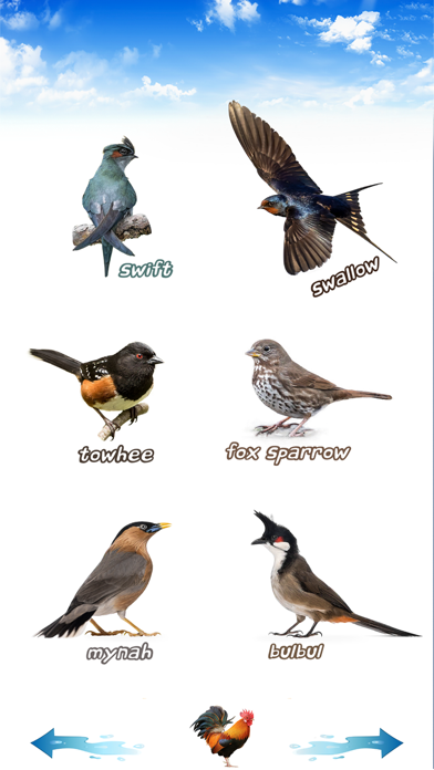 Amazing Bird Sounds iPhone screenshot 7 - Entertainment app