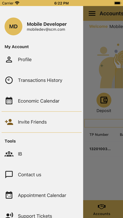 Hall Capital Markets Screenshot