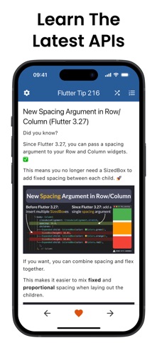 Flutter Tips screenshot