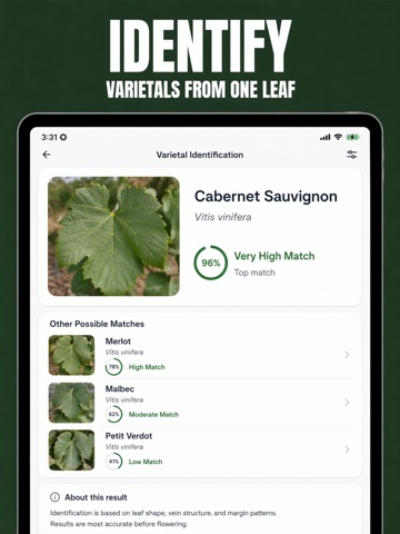 VineGuard: Vineyard Diagnosis iPad screenshot